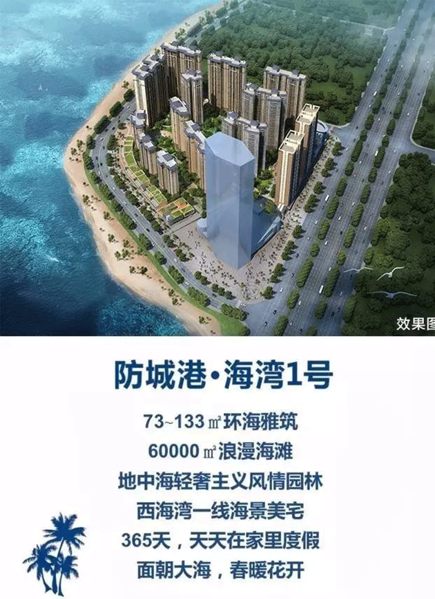 海湾1号 海湾1号